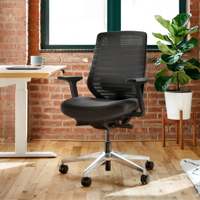 Branch ergonomic office chair