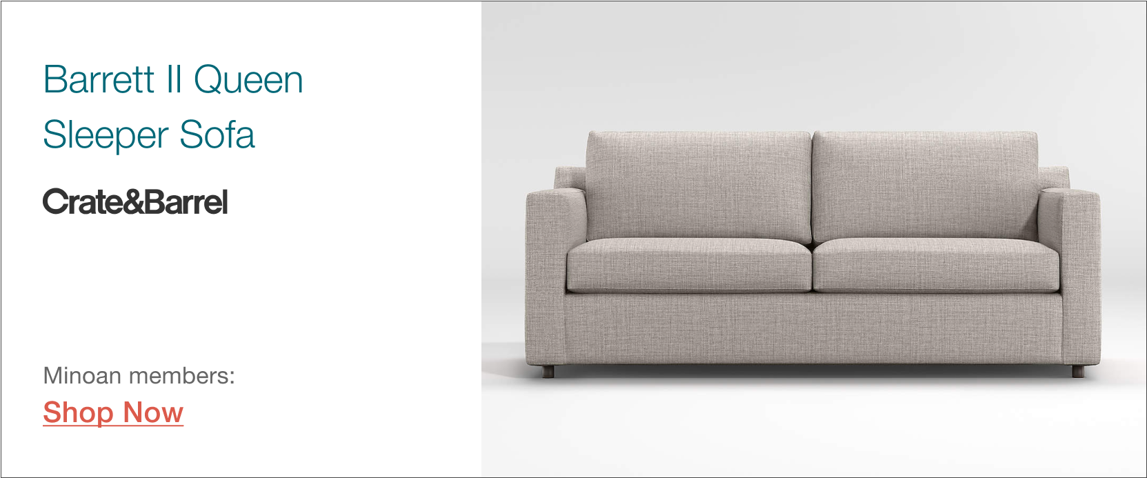 Barrett II Sleeper Sofa by Crate & Barrel